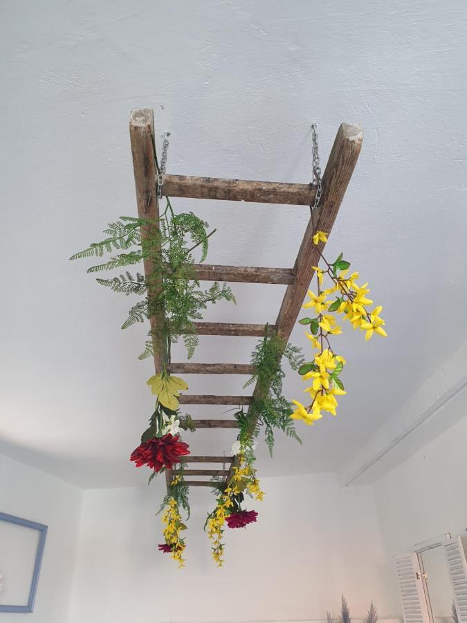 שיבניק Infresh Holiday House מראה חיצוני תמונה